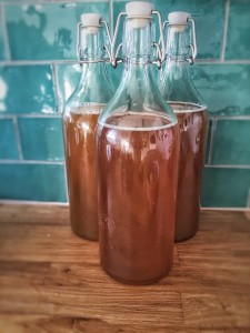 Co je to kombucha a jak ji využít