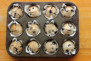 muffins-1047049_960_720